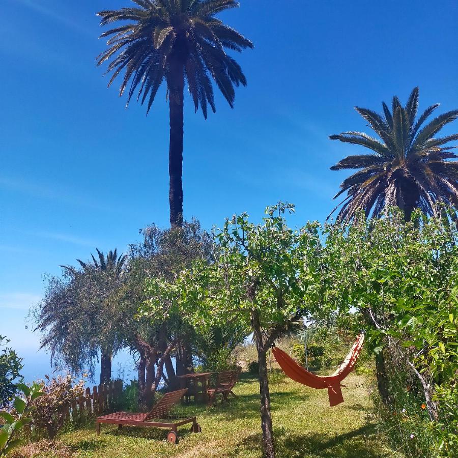 הוילה Alajeró Vistas Del Sur מראה חיצוני תמונה
